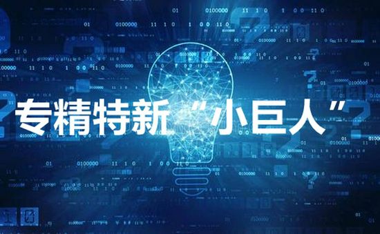 “专精特新”引领，持续辉煌征程！欣立电器荣获***“专精特新”小巨人企业称号